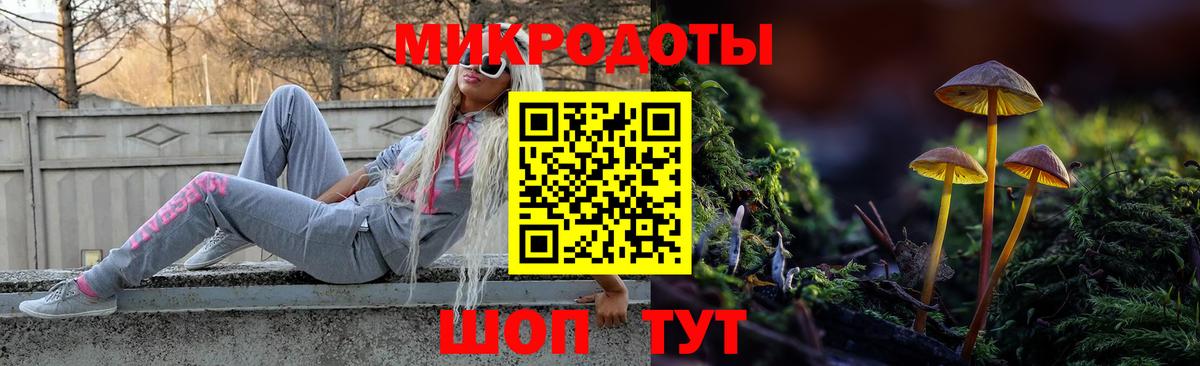 Галлюциногенные грибы MAGIC MUSHROOMS  даркнет сайт  Владикавказ  Вход с VPN 